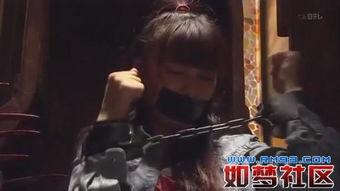 国产大神视频有哪些系列,精彩纷呈，不容错过