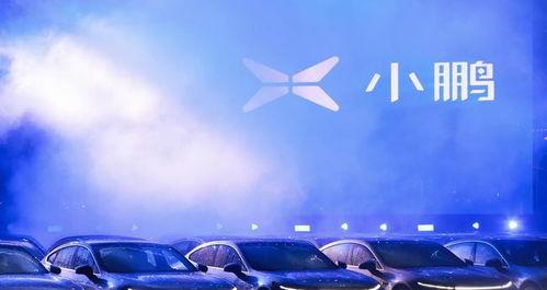 国产小鹏跳舞视频大全,国产智能驾驶新风尚 第2张 国产小鹏跳舞视频大全,国产智能驾驶新风尚 第2张