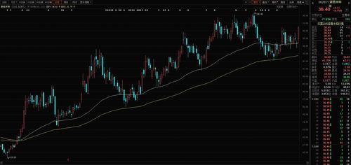 新锐国产黑马视频,新锐力量引领潮流  第2张